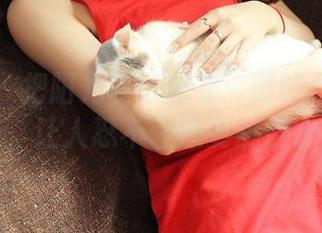 青豆客 – 把阳光装进泳衣：谭晓彤的高清合集，让人忍不住想要跳进水里！